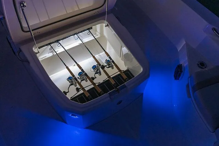 Slide: The Image of Manufacturer Provided Image: 2026 Boston Whaler 250 Dauntless fishing rod storage with blue LED lighting. - 9