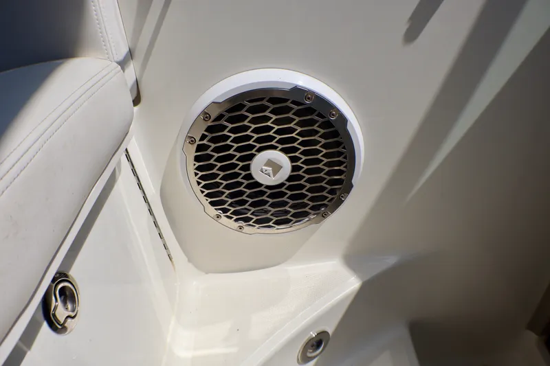 Slide: The Image of Speaker detail on 2010 Sea Ray Sundancer 260 boat, featuring a hexagonal grille design. - 23
