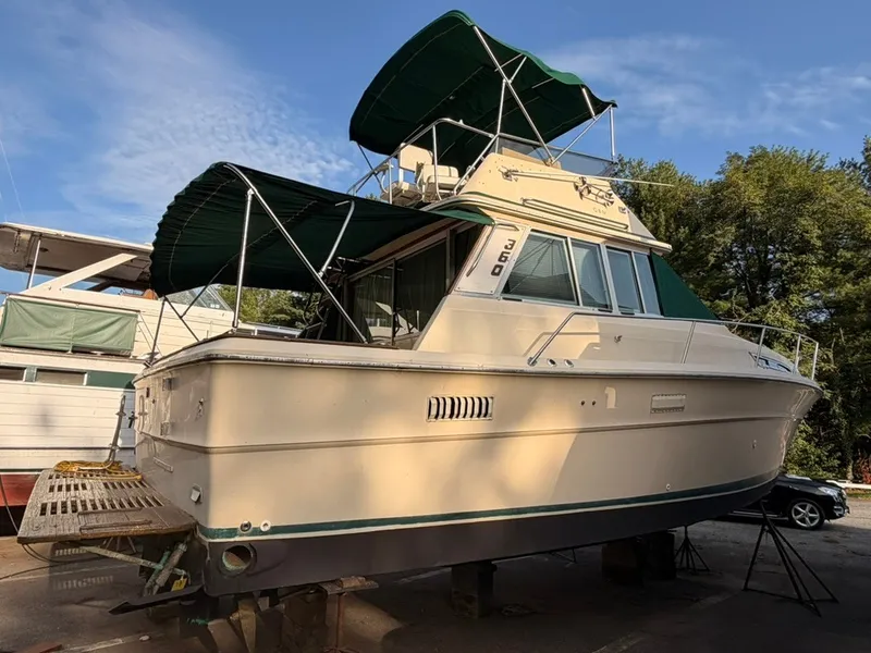 Slide: The Image of A 1981 Sea Ray 360 Sportfish is on a dry dock. It features a green canopy. - 36