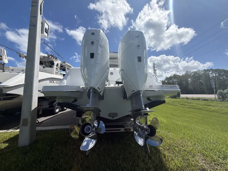 Slide: The Image of Everglades 367 CX 2027 - 14