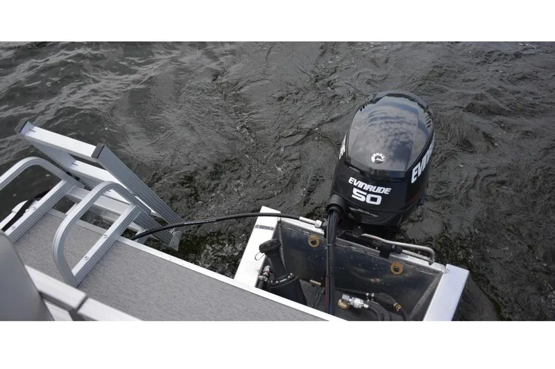 Slide: The Image of Manufacturer Provided Image: 2021 SunChaser Vista 20 LR with Evinrude 50 outboard motor on water. - 10