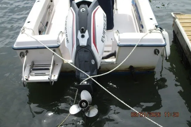 Slide: The Image of Grady-White Escape 209 boat with Evinrude outboard motor docked on water. - 21