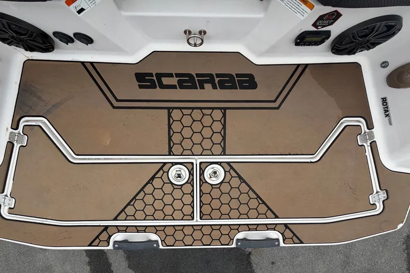Slide: The Image of Scarab 255 ID 2018 - 76
