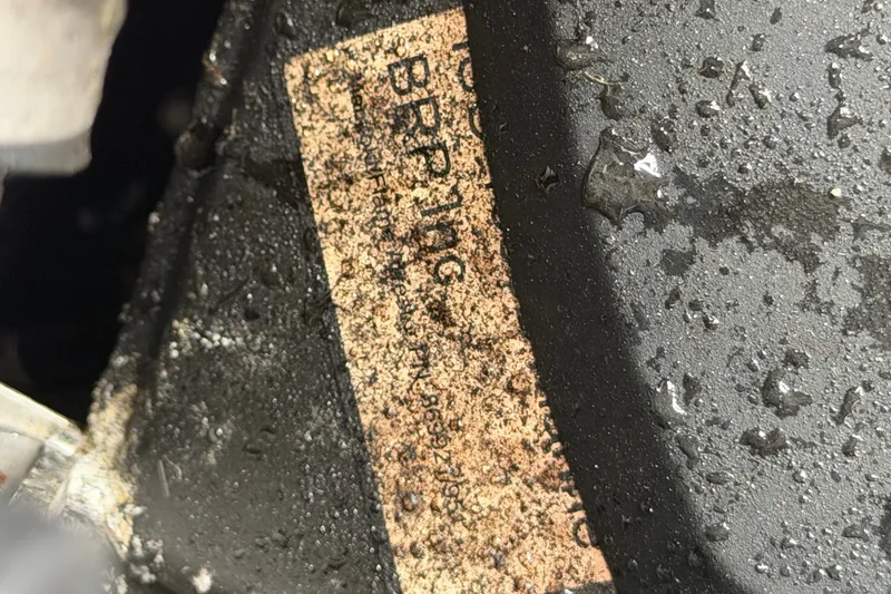 Slide: The Image of Scarab 255 ID 2018 - 79
