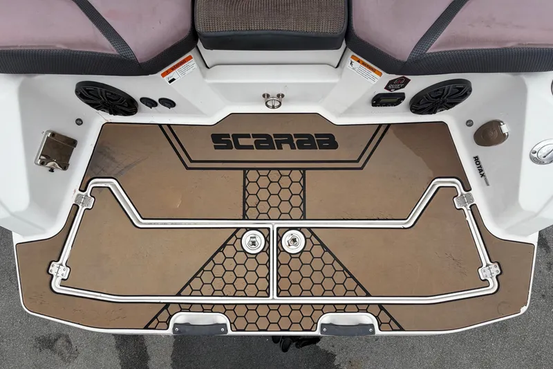Slide: The Image of Scarab 255 ID 2018 - 75