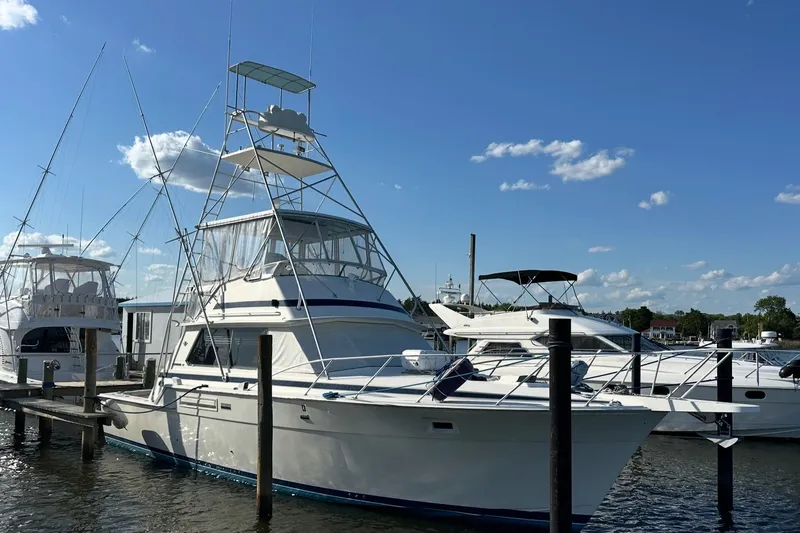The Image of 1985 Bertram 42 Convertible yacht docked at marina under clear blue sky. - 0