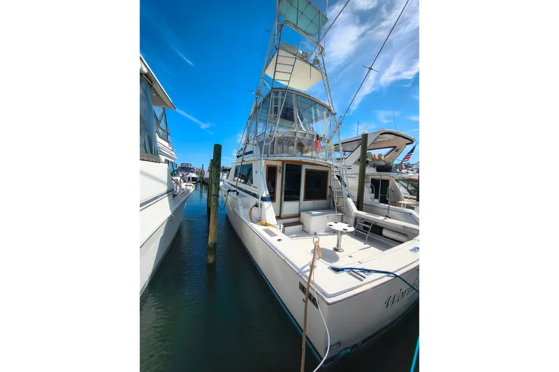 The Image of 1985 Bertram 42 Convertible yacht docked at marina under clear blue sky. - 1