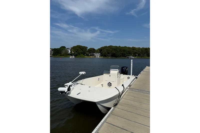 The Image of 2024 BlueCat 17 boat docked on a serene lake under a clear blue sky. - 2