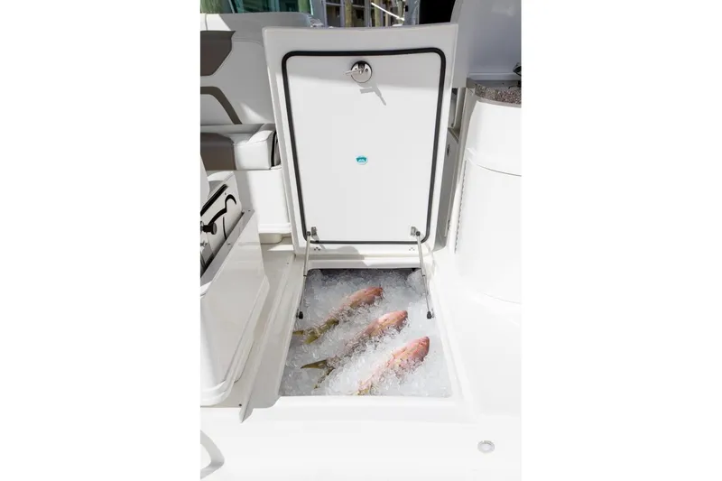 Slide: The Image of Open storage compartment with fish on ice in a 2026 World Cat 325DC boat. - 18
