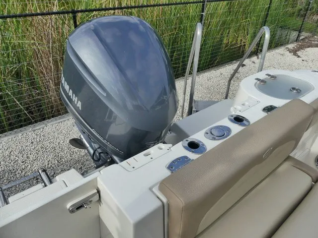 Slide: The Image of Sailfish 241 CC 2019 - 5