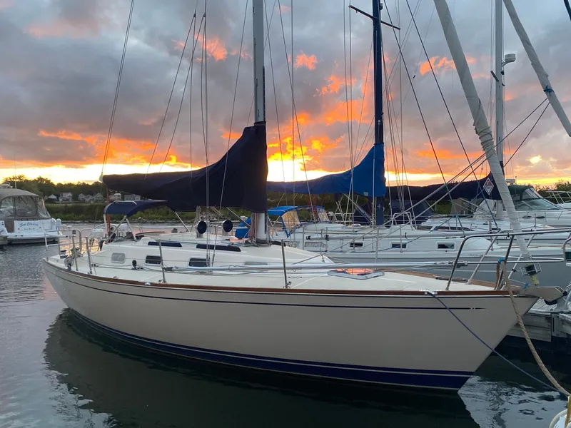 The Image of A 1992 Tartan 3100 sailboat on the water at sunset, surrounded by other sailboats. - 0