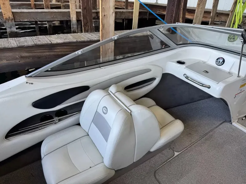 Slide: The Image of Stingray 195 LS 2012 - 5