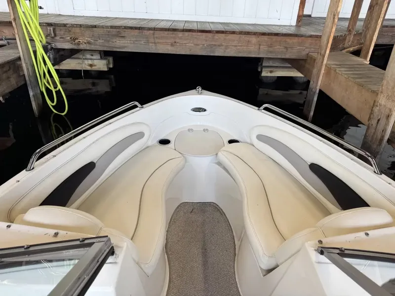 Slide: The Image of Stingray 195 LS 2012 - 8