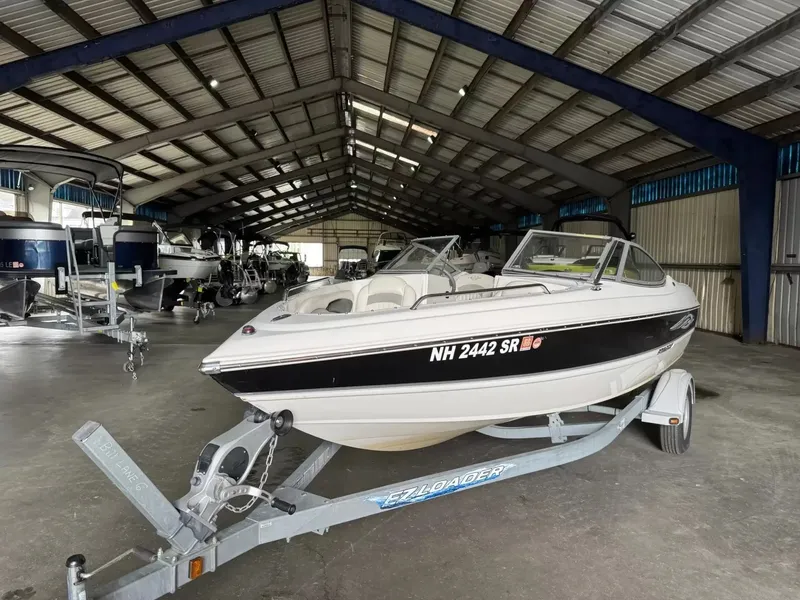 Slide: The Image of Stingray 195 LS 2012 - 1