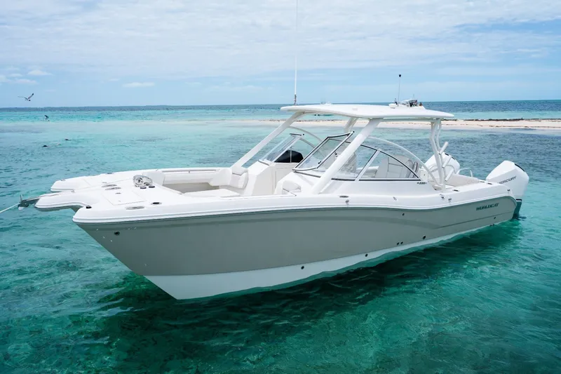 Slide: The Image of 2027 World Cat 296 DC boat in clear turquoise water near a sandy beach. - 1