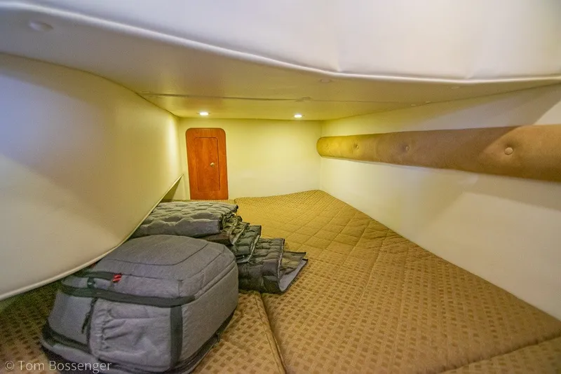 Slide: The Image of Interior cabin of 2012 Rinker 310 Express Cruiser with bedding and storage. - 25