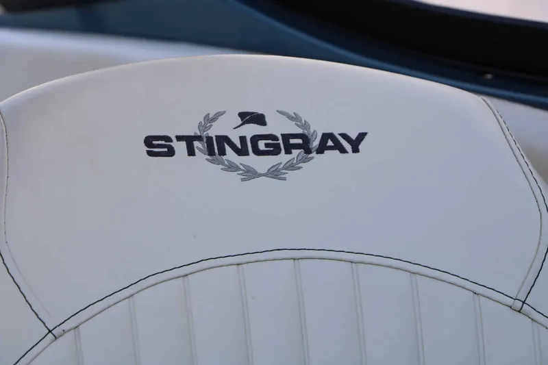 Slide: The Image of Stingray 225 SE 2020 - 51