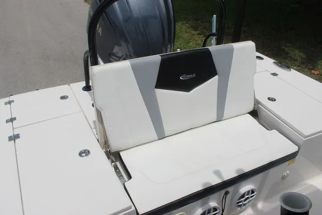 Slide: The Image of Robalo 246 Cayman 2022 - 41