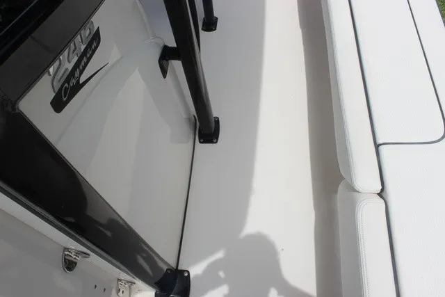 Slide: The Image of Robalo 246 Cayman 2022 - 36