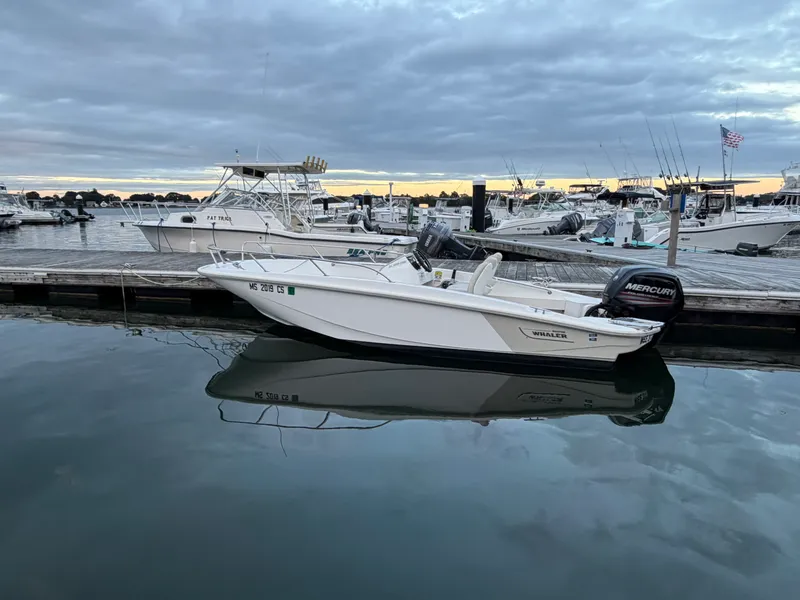 Slide: The Image of Boston Whaler 160 SPORT 2019 - 7