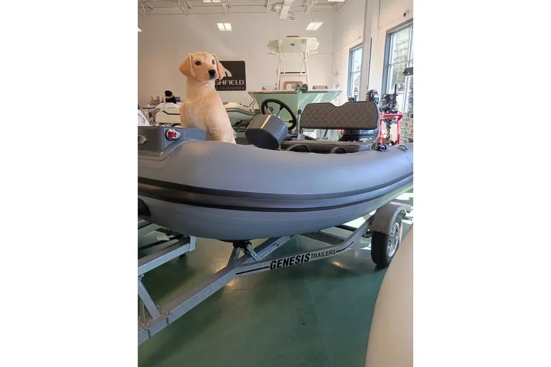 The Image of Dog sitting in a 2026 DESNER ALUMINUM CL 310 inflatable boat on a trailer. - 0