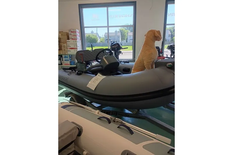 Slide: The Image of Inflatable boat DESNER ALUMINUM CL 310, 2026 model, with a dog mannequin inside. - 1