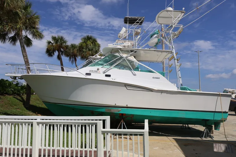 The Image of 2001 Cabo 35 Express on dry dock with palm trees in the background. - 0
