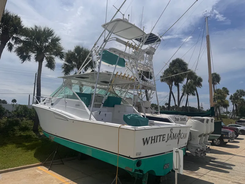 The Image of 2001 Cabo Express with turquoise accents and tower, parked on a lot with palm trees. - 0