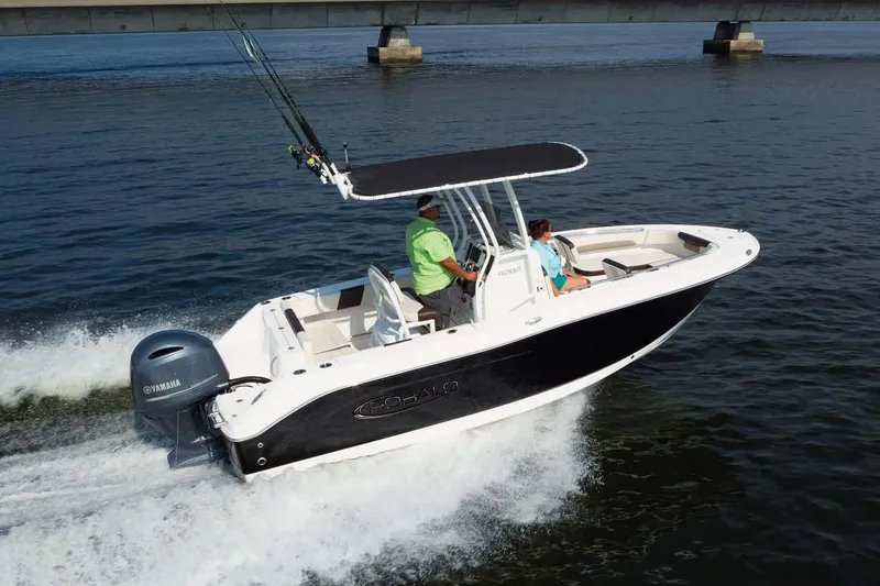 Slide: The Image of Manufacturer Provided Image: 2025 Robalo R202 Explorer boat cruising on water under a bridge. - 1