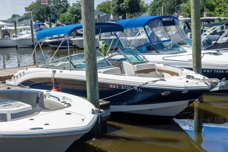 The Image of 2015 Chaparral 246 SSi boat docked at marina with blue canopy. - 1