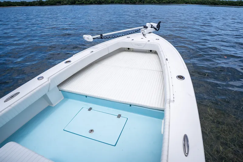 Slide: The Image of 2018 Dorado 25 SE boat on calm water, featuring spacious deck and trolling motor. - 15