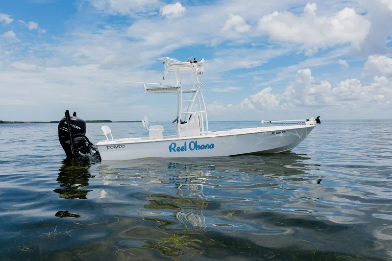 The Image of 2018 Dorado 25 SE boat on calm water under a partly cloudy sky. - 1