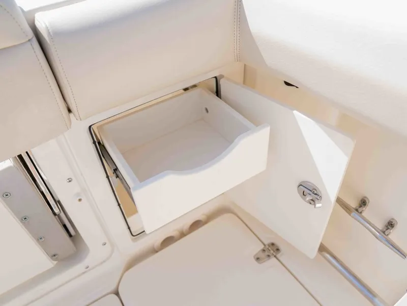 Slide: The Image of Boston Whaler 250 Outrage 2022 - 21