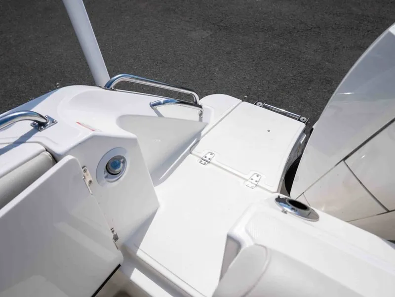 Slide: The Image of Boston Whaler 250 Outrage 2022 - 18