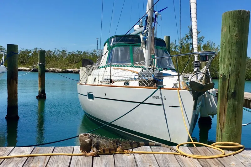 The Image of Beneteau Oceanis 36 CC sailboat docked, with iguana on pier, clear blue water, 1997 model. - 0