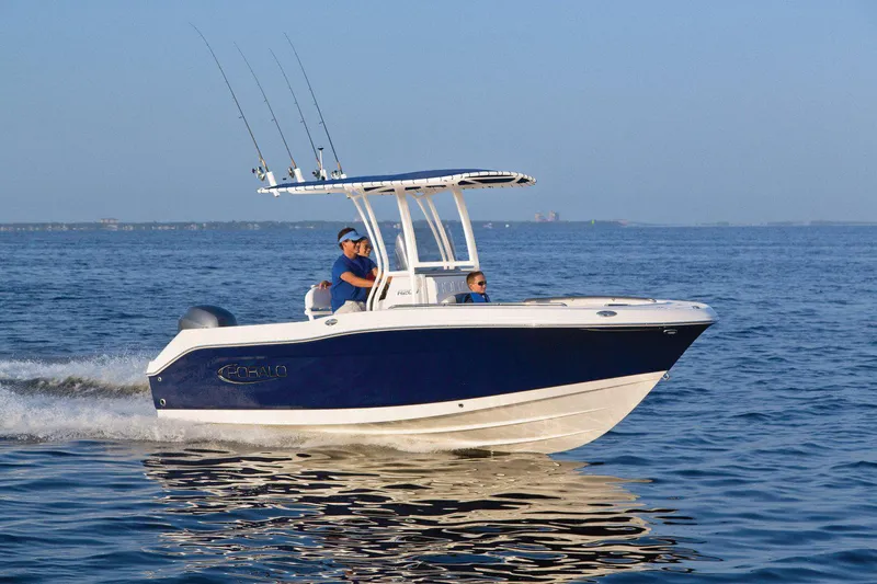 Slide: The Image of Manufacturer Provided Image: 2025 Robalo R200 Center Console boat cruising on open water. - 12