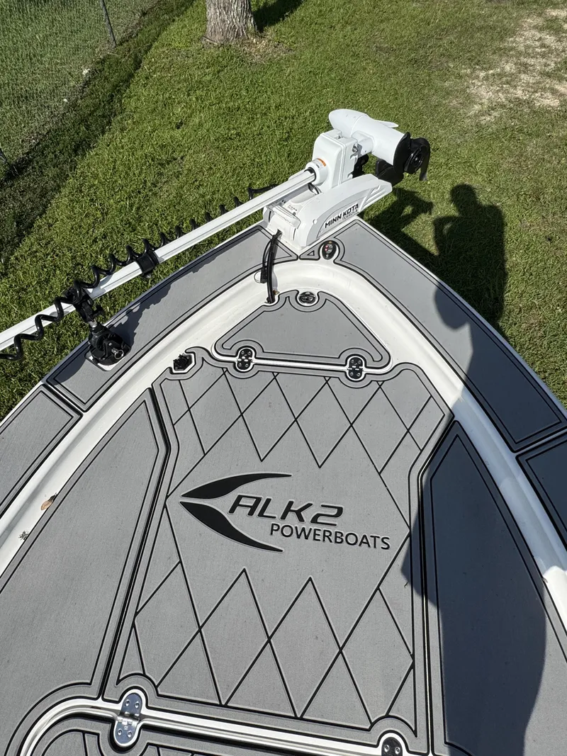 Slide: The Image of ALK2 17HS 2025 - 14