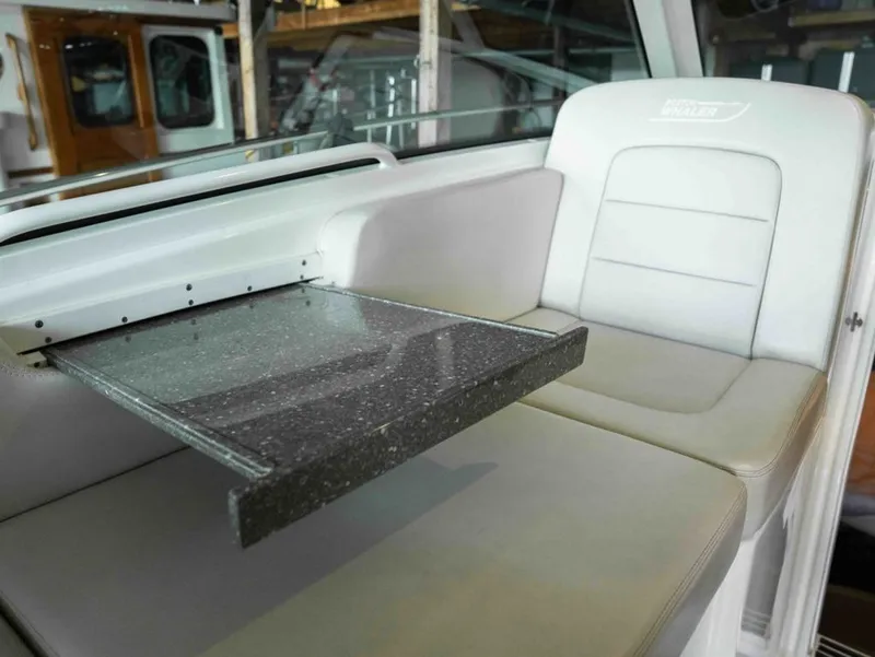 Slide: The Image of Boston Whaler 315 CONQUEST PH 2019 - 15