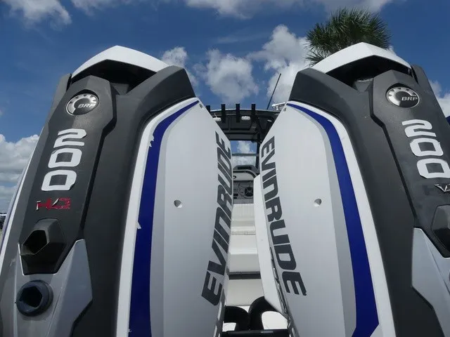 Slide: The Image of Dusky 278 Fish Around Cruiser 2020 - 8