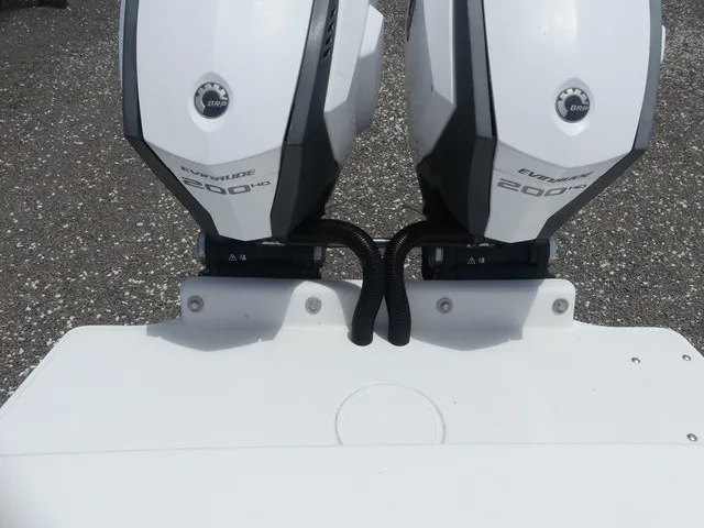 Slide: The Image of Dusky 278 Fish Around Cruiser 2020 - 20