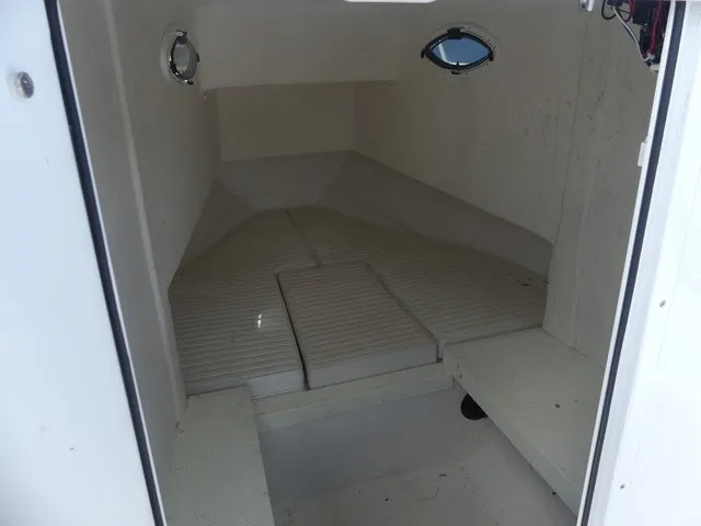 Slide: The Image of Dusky 278 Fish Around Cruiser 2020 - 17