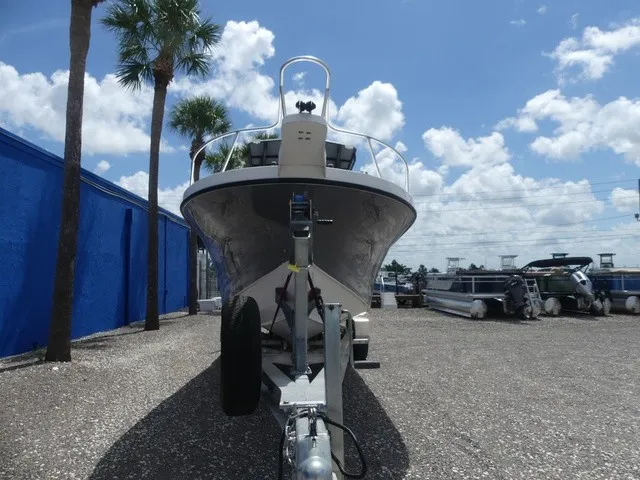 Slide: The Image of Dusky 278 Fish Around Cruiser 2020 - 2