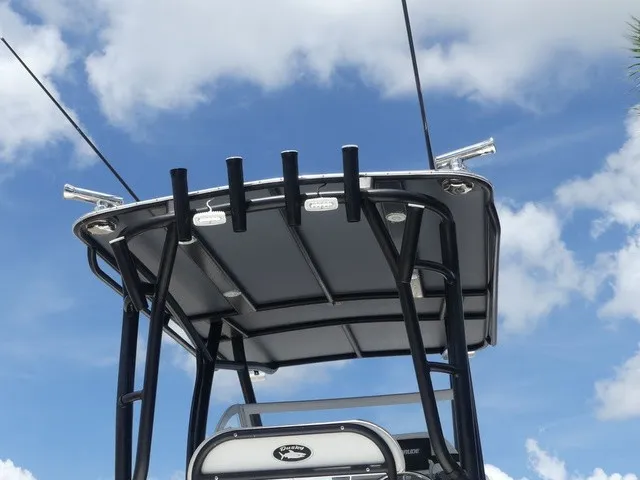 Slide: The Image of Dusky 278 Fish Around Cruiser 2020 - 9