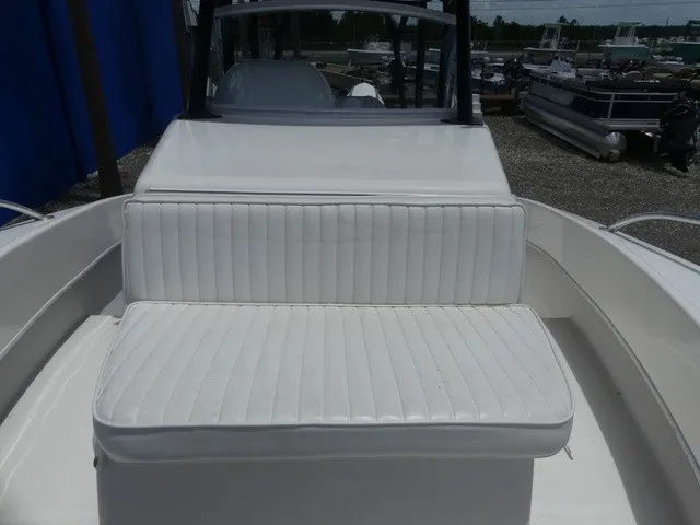 Slide: The Image of Dusky 278 Fish Around Cruiser 2020 - 13