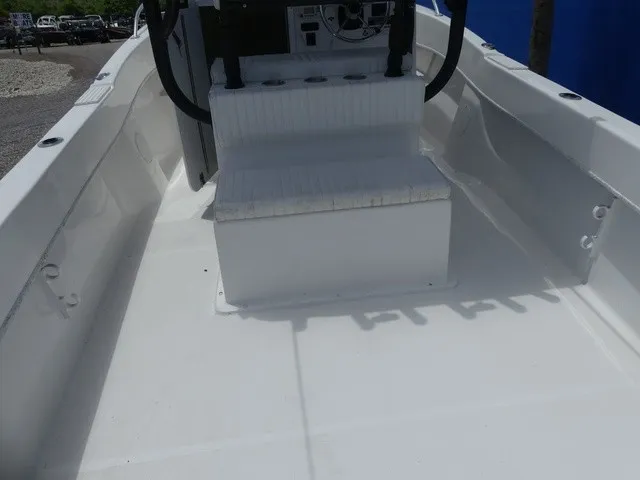 Slide: The Image of Dusky 278 Fish Around Cruiser 2020 - 19
