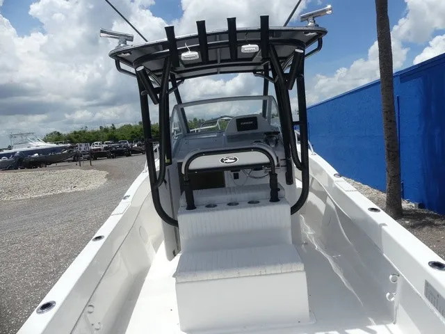 Slide: The Image of Dusky 278 Fish Around Cruiser 2020 - 11