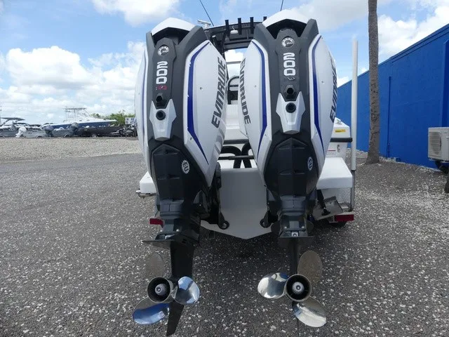 Slide: The Image of Dusky 278 Fish Around Cruiser 2020 - 5