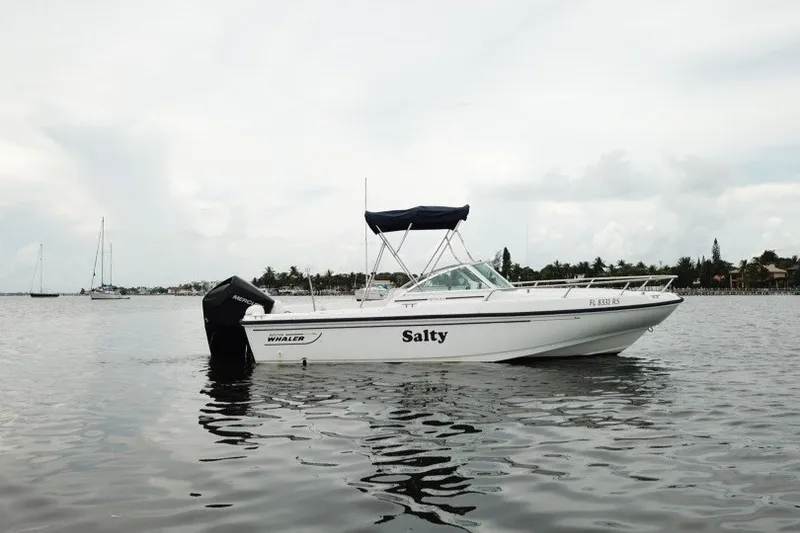 Slide: The Image of 1998 Boston Whaler 20 Ventura Bowrider named "Salty" on calm water. - 1