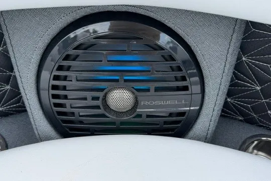 Slide: The Image of Speaker system in Alera M25Q 2027, featuring Roswell branding and modern design. - 31