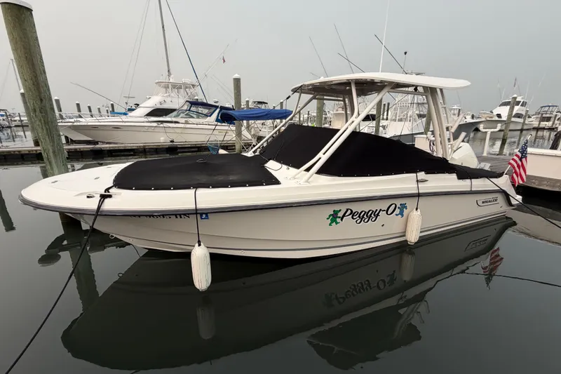 Slide: The Image of 2022 Boston Whaler 240 Vantage boat docked, covered, with American flag. - 58
